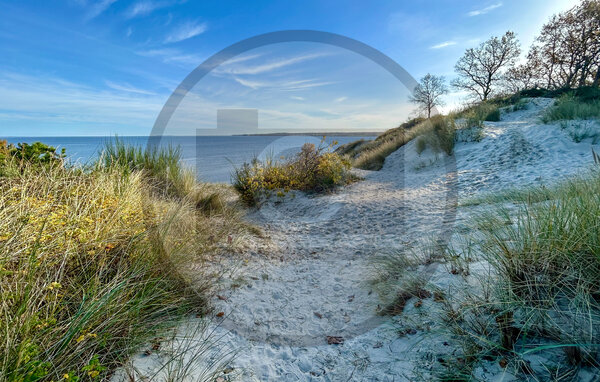 Domy wakacyjne - Hvidbjerg , Dania - D89132 902