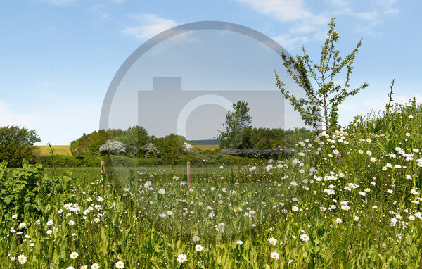 Ferienhaus - Mørkholt , Dänemark - D89209 203