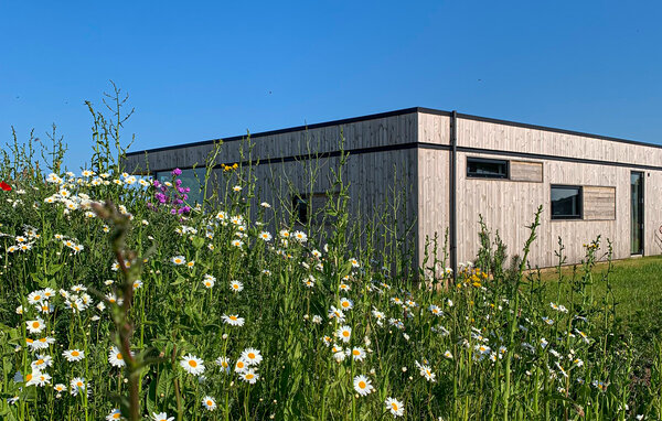 Ferienhaus - Hvidbjerg , Dänemark - D89211 104