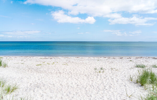 Holiday Home - Maarup , Denmark - D90112 902