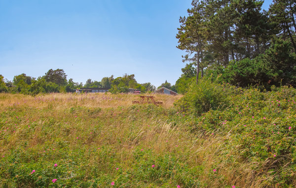 Ferienhaus - Maarup , Dänemark - D90121 902