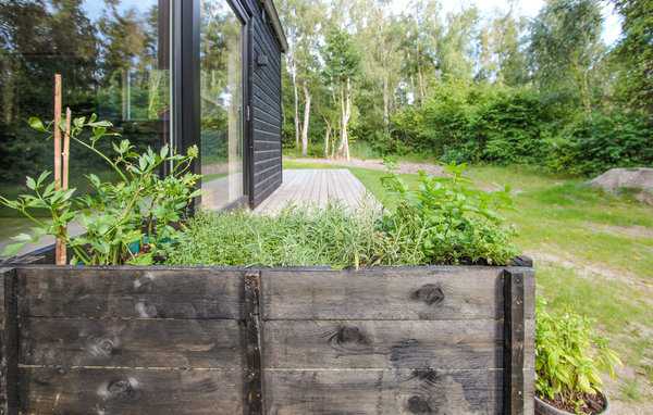 Ferienhaus - Maarup , Dänemark - D90244 103