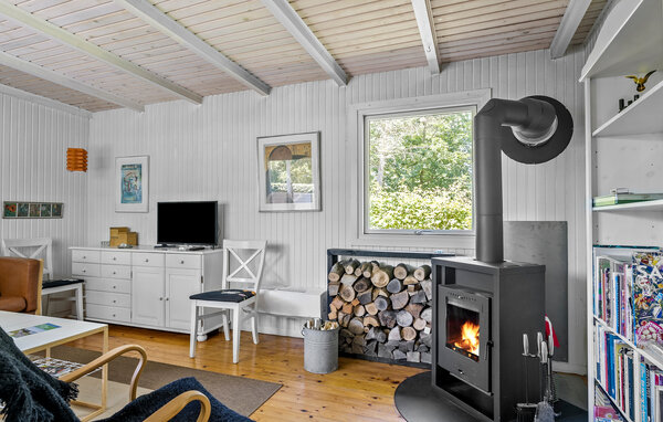 Ferienhaus - Maarup , Dänemark - D90270 301