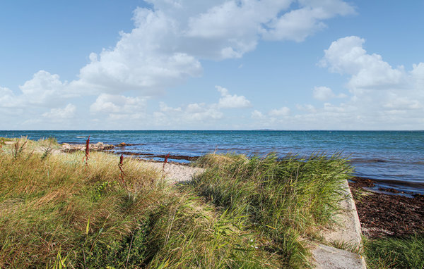 Ferienhaus - Sælvig , Dänemark - D90400 901