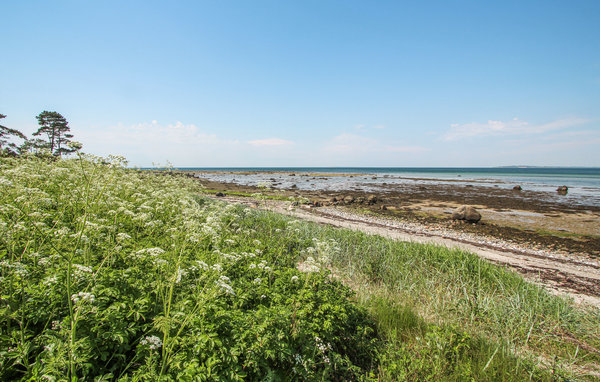 Ferienhaus - Sælvig , Dänemark - D90426 105