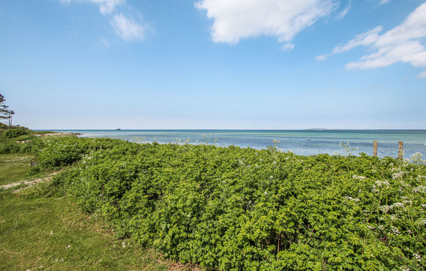 Ferienhaus - Sælvig , Dänemark - D90426 202