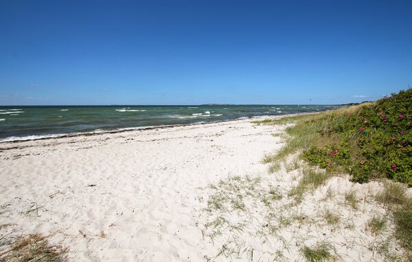 Domy wakacyjne - Sælvig , Dania - D90435 901