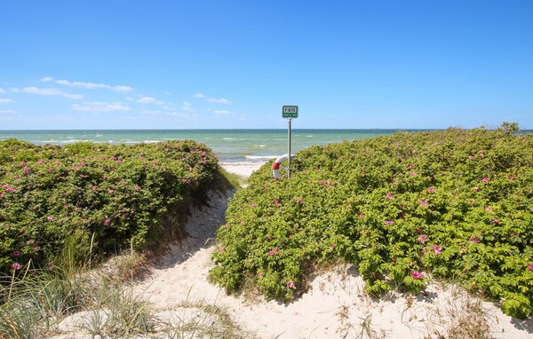 Domy wakacyjne - Sælvig , Dania - D90435 9