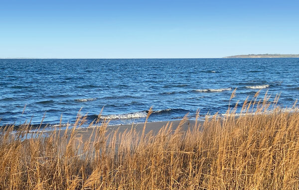 Domy wakacyjne - Sælvig , Dania - D90435 903