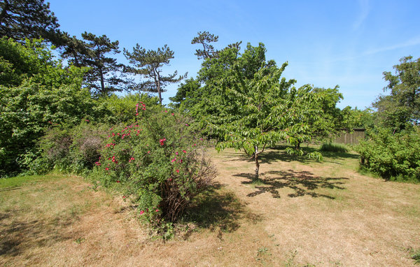 Vakantiehuis - Vesterløkken , Denemarken - D90510 105