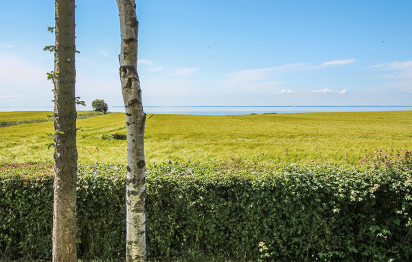Casa vacanze - Vesterløkken , Danimarca - D90535 201