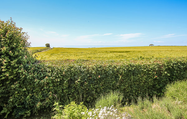 Casa vacanze - Vesterløkken , Danimarca - D90535 205