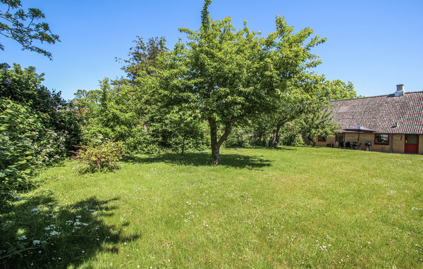 Casa vacanze - Kolby Kås , Danimarca - D90713 9