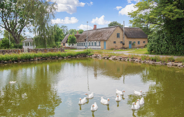 Casa vacanze - Hårdmark , Danimarca - D90726 8