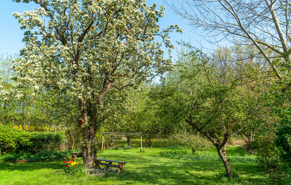 Casa vacanze - Kolby Kås , Danimarca - D90733 9