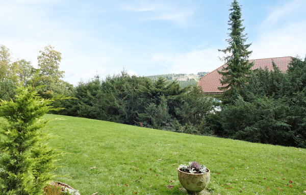Ferienwohnung - Hahnenklee - Goslar , Deutschland - DAN067 5