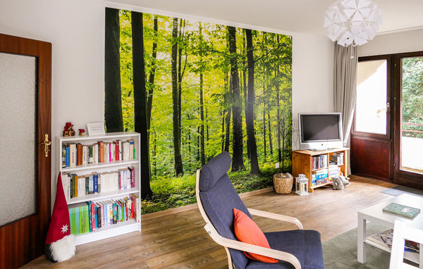 Ferienwohnung - Bad Sachsa , Deutschland - DAN256 302