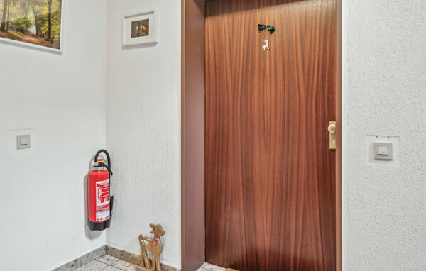 Ferienwohnung - Bad Sachsa , Deutschland - DAN256 81