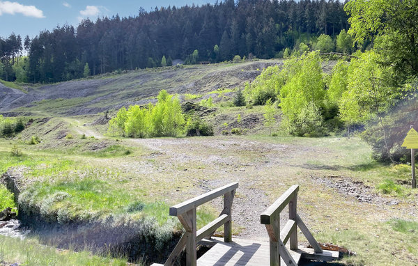 Ferienhaus - Lautenthal , Deutschland - DAN275 905