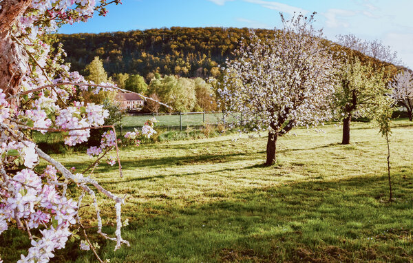 Ferienwohnung - Nebra OT Wangen , Deutschland - DAN281 902