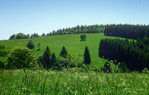 Dům Ferienhauspark Hasselfelde