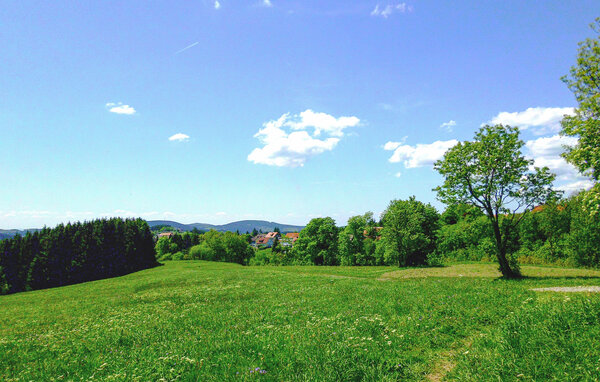 Dům Ferienhauspark Hasselfelde