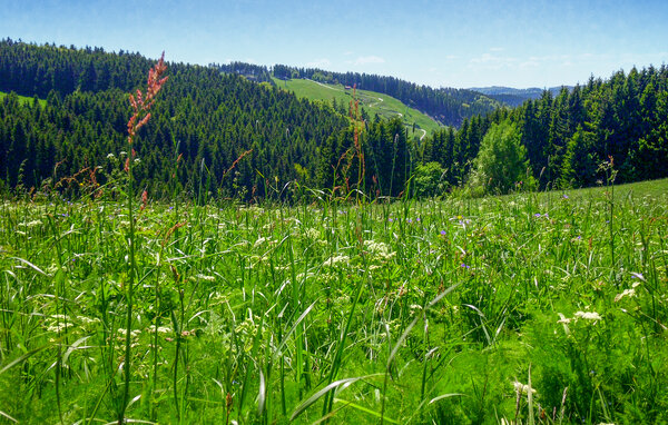 Dům Ferienhauspark Hasselfelde