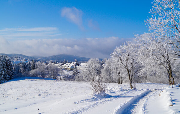 Dům Ferienhauspark Hasselfelde