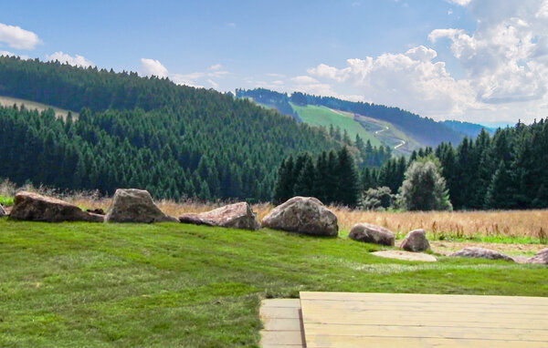 Ferienhaus - Hasselfelde im Harz , Deutschland - DAN438 901