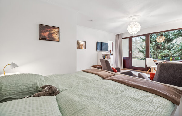 Apartment FeWo OHase - Bad Sachsa