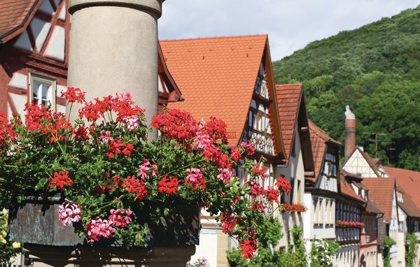 Ferienhaus - Zeil am Main/Unterfranken , Deutschland - DBA107 905