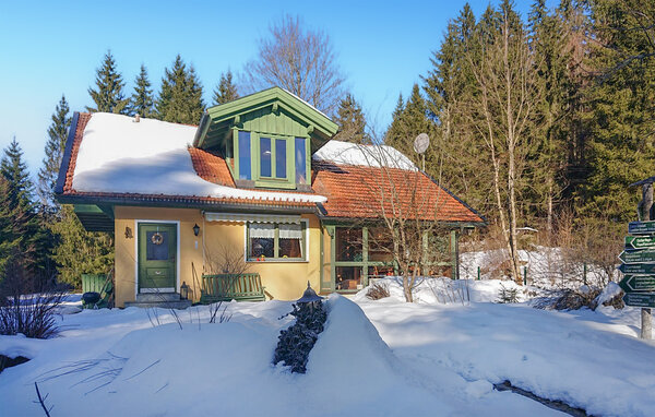 Ferienhaus - Bayerisch Eisenstein , Deutschland - DBA145 83