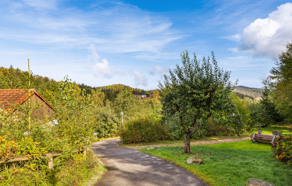 Ferienhaus - Falkenstein , Deutschland - DBA175 102