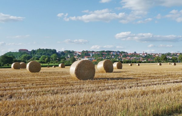 Ferienhaus - Schillingsfürst , Deutschland - DBA217 903