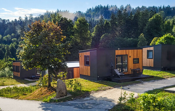 Location de vacances - Untergriesbach , Allemagne - DBA353 2