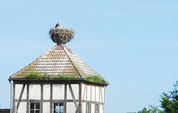 Ferienhaus Herrenhaus Lübbenow