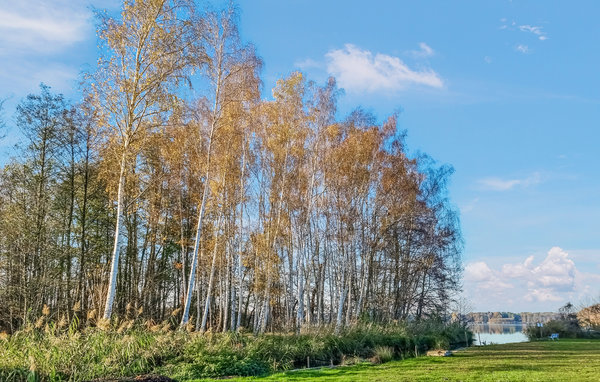 Kuća-za-odmor - Heidesee , Njemacka - DBB568 8