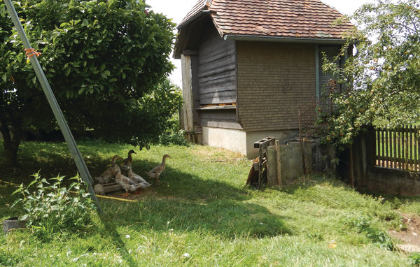 Vakantiehuis 