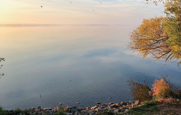 Vakantiehuis - Marissa Resort/Dümmer See , Duitsland - DDS144 905