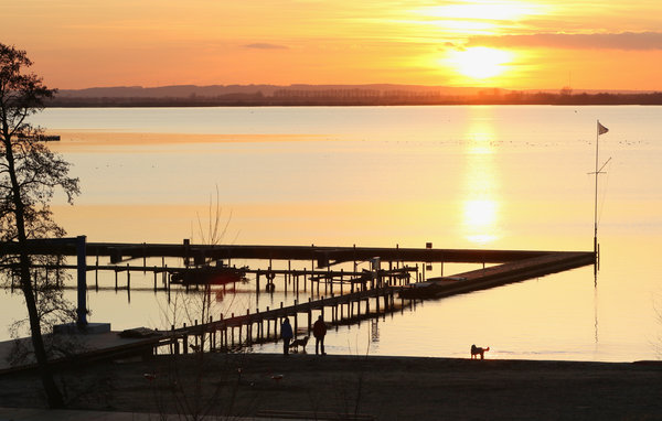 Feriehuse - Marissa Resort/Dümmer See , Tyskland - DDS211 902