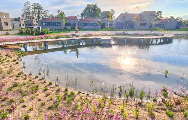 Holiday Home - Marissa Resort/Dümmer See , Germany - DDS276 918