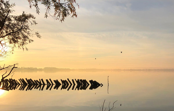 Domy wakacyjne - Marissa Resort/Dümmer See , Niemcy - DDS355 905