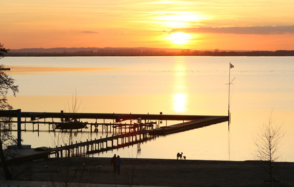 Domy wakacyjne - Marissa Resort/Dümmer See , Niemcy - DDS355 906