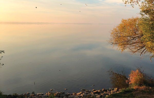 Lejlighed - Marissa mit Seeblick , Tyskland - DDS603 905