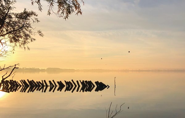 Ferienwohnung - Lembruch/Dümmer See , Deutschland - DDS607 906