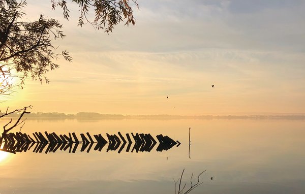 Ferieleilighet - Marissa Resort/Dümmer See , Tyskland - DDS674 906