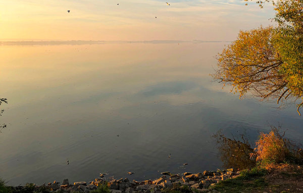 Ferieleilighet - Marissa Resort/Dümmer See , Tyskland - DDS716 905