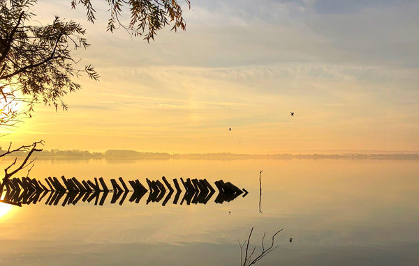 Ferieleilighet - Marissa Resort/Dümmer See , Tyskland - DDS716 906