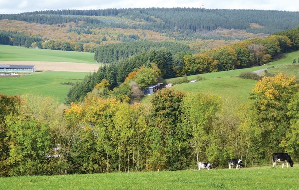 Ferienhaus - Prüm/Walcherath , Deutschland - DEI130 907