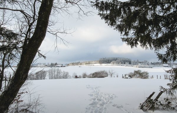 Ferienhaus Ferienhaus 2 Wolfschlucht